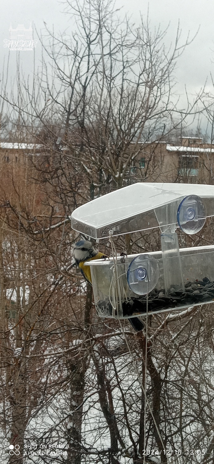 Выставки и события