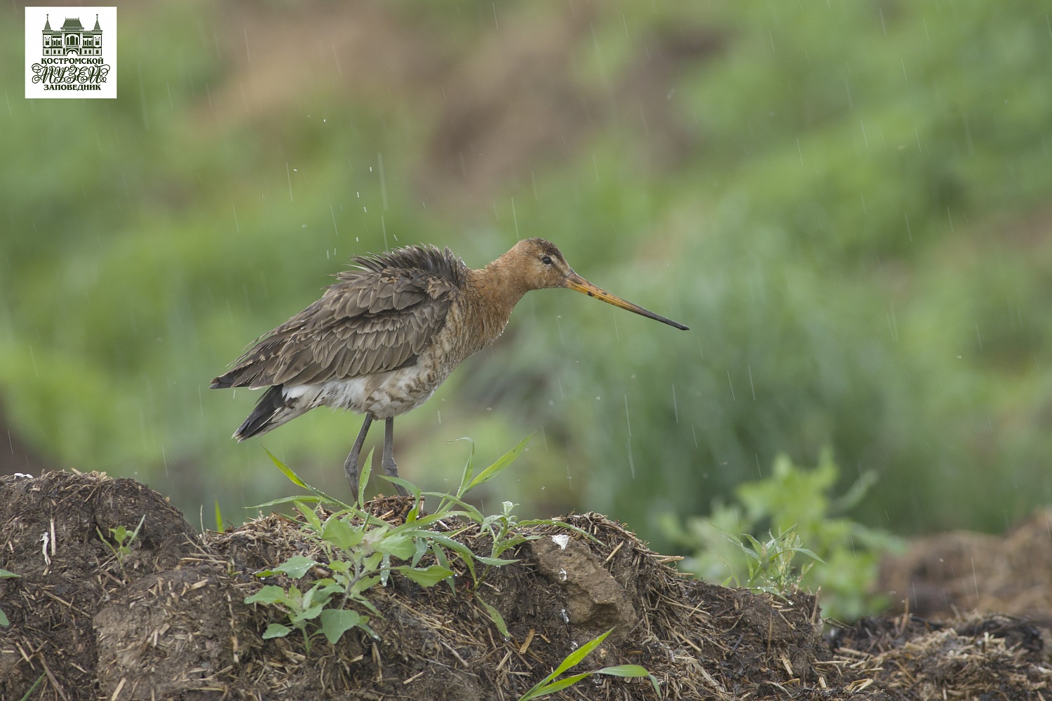 Выставки и события