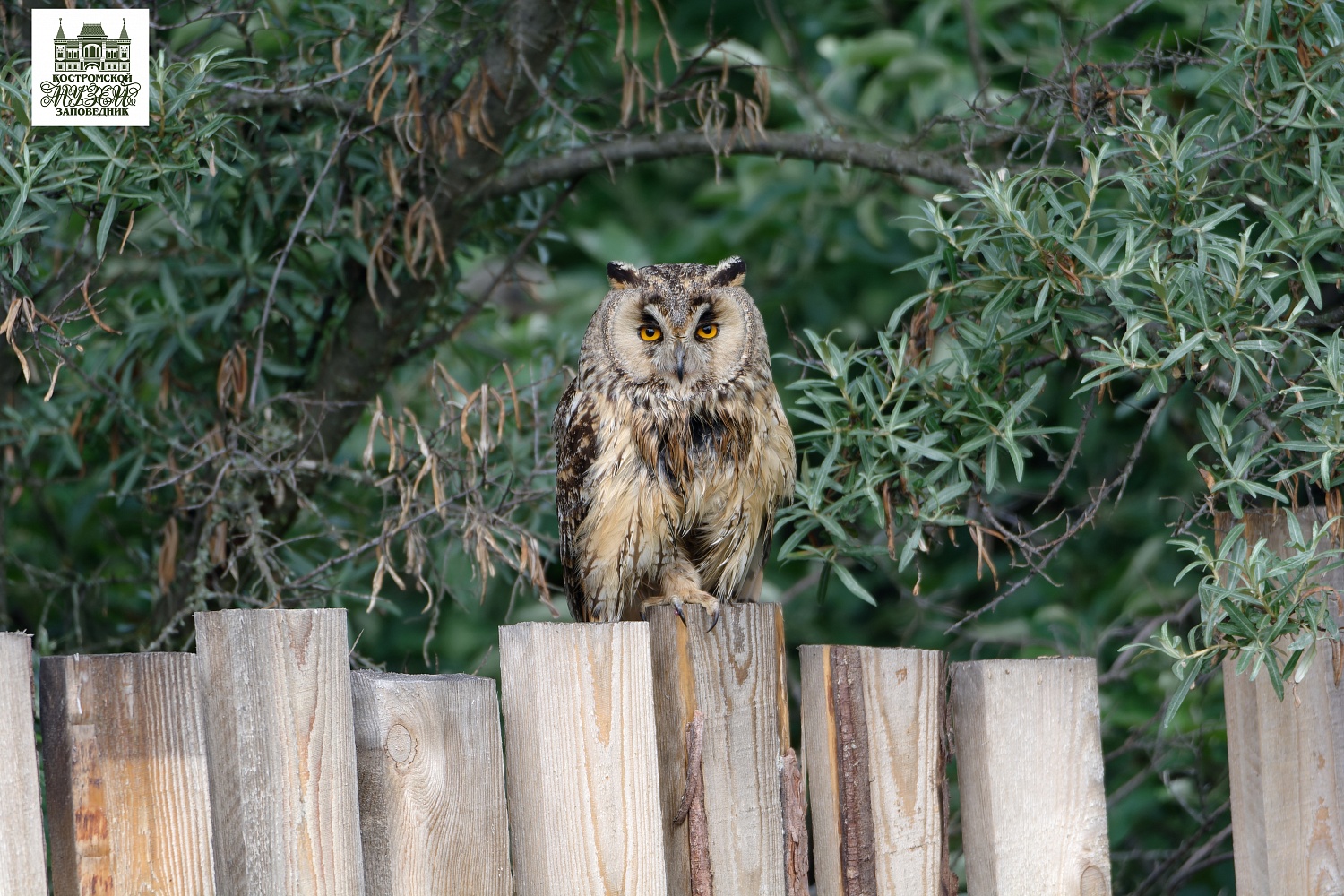 Выставки и события
