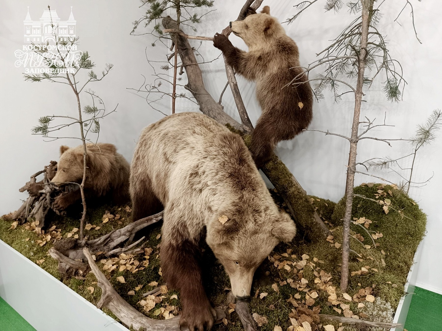 Выставки и события