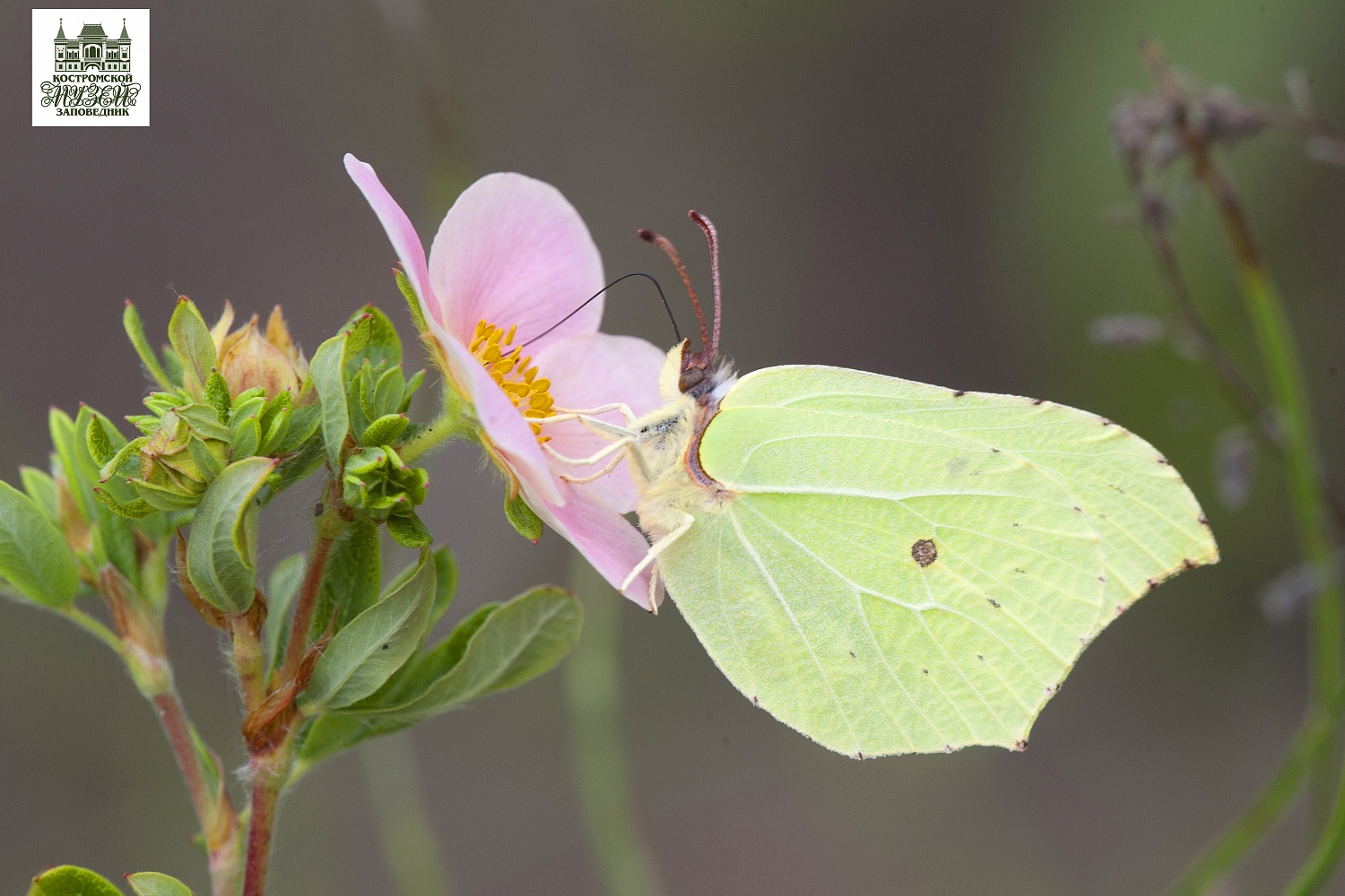 Выставки и события