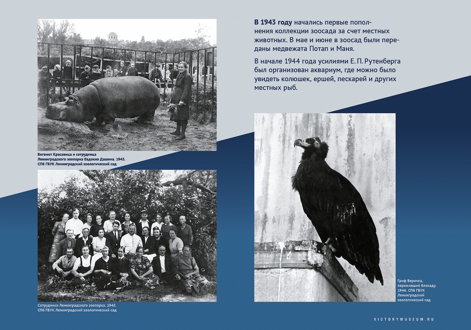 Выставки и события