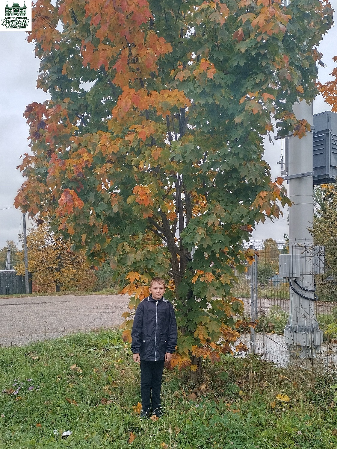 Выставки и события