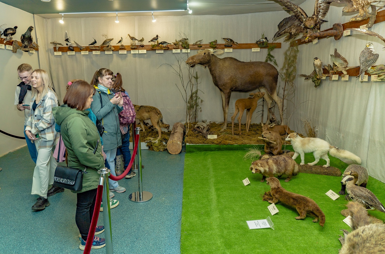 Выставки и события