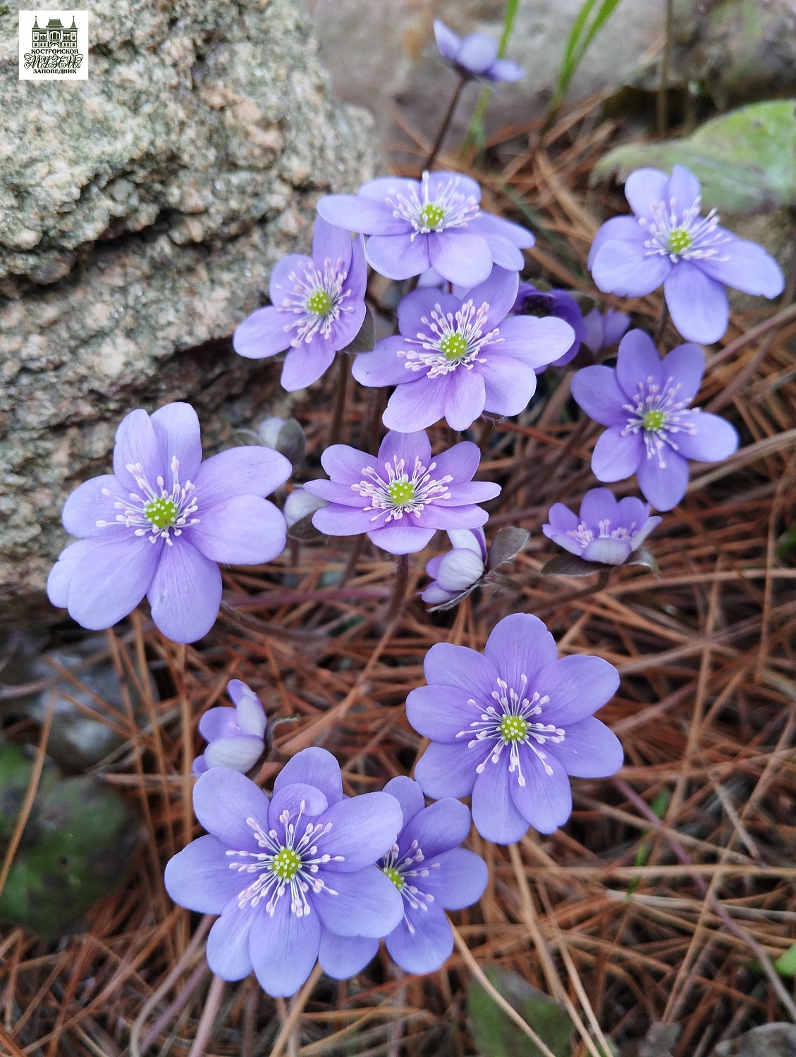 Выставки и события