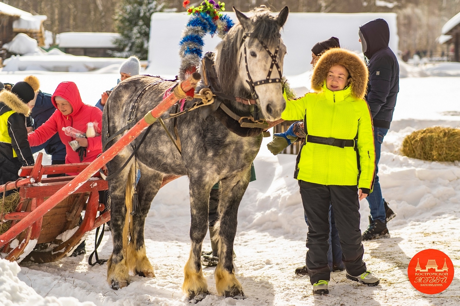 Выставки и события