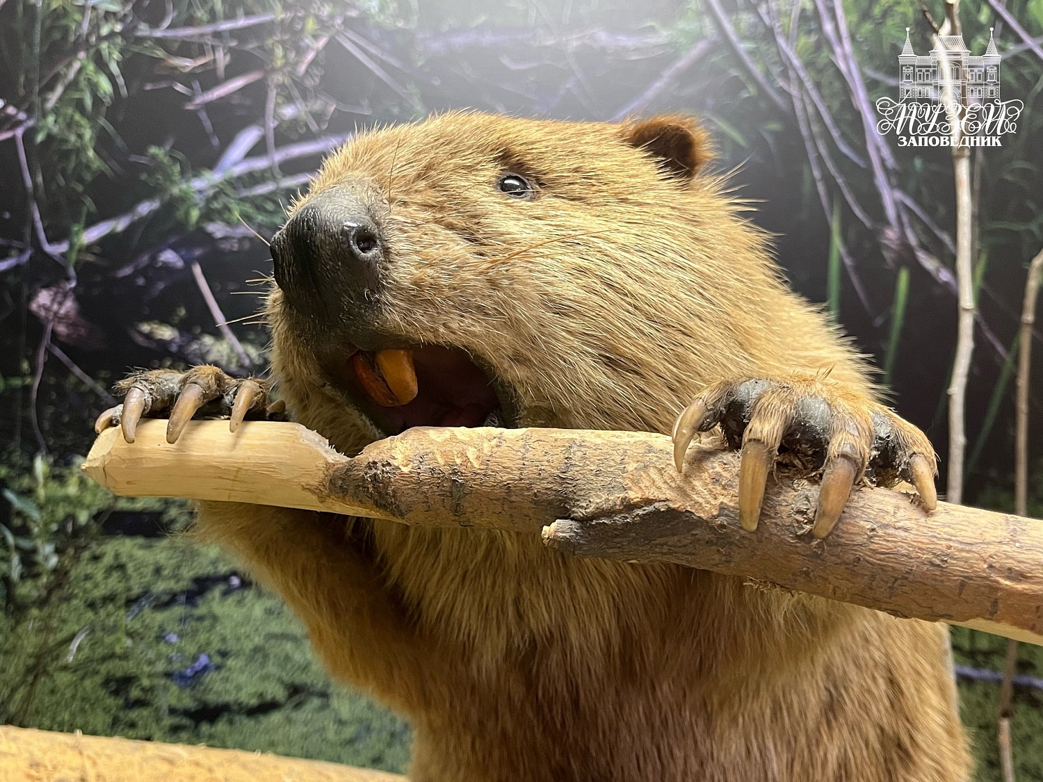 Выставки и события