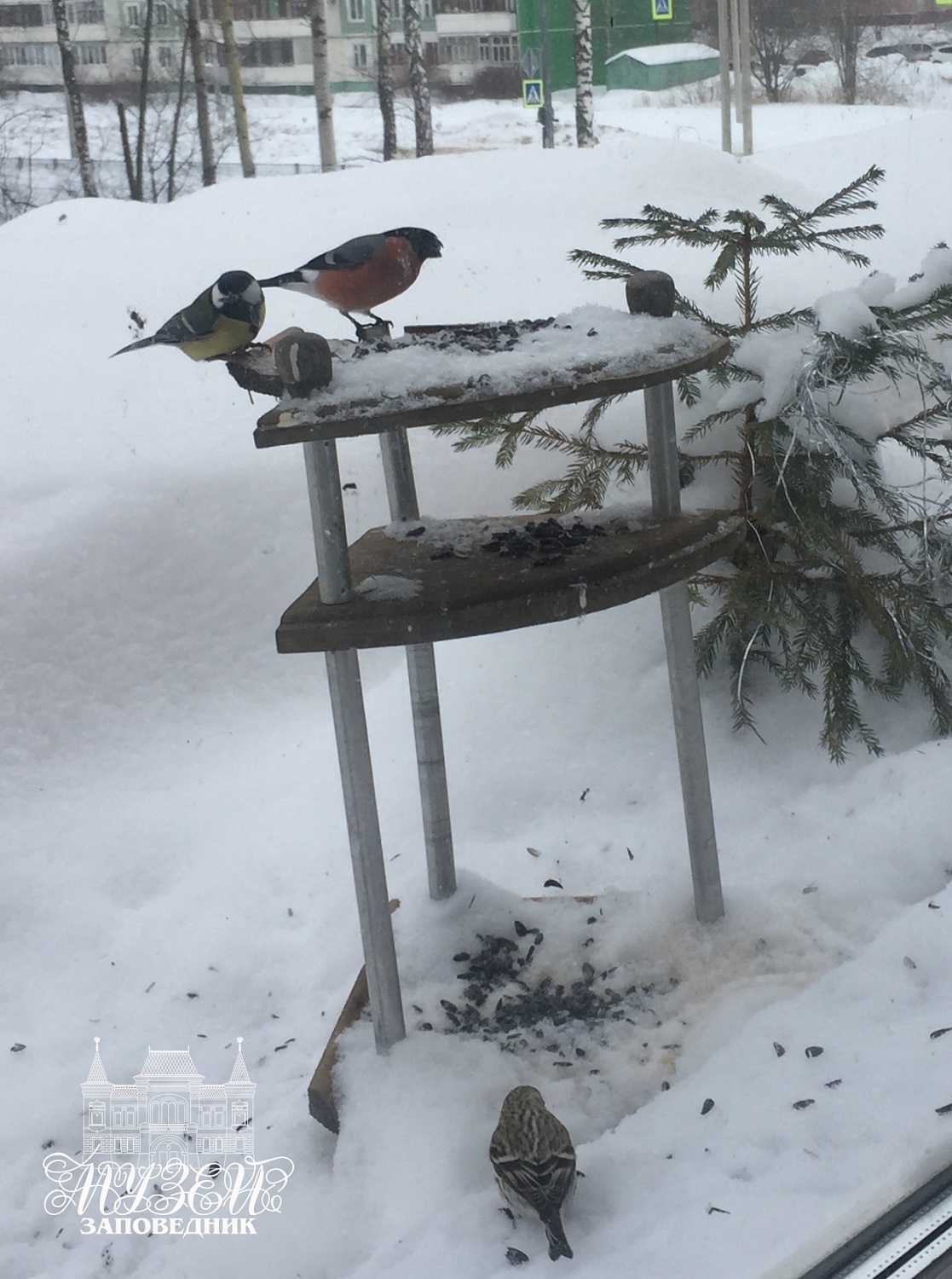 Выставки и события