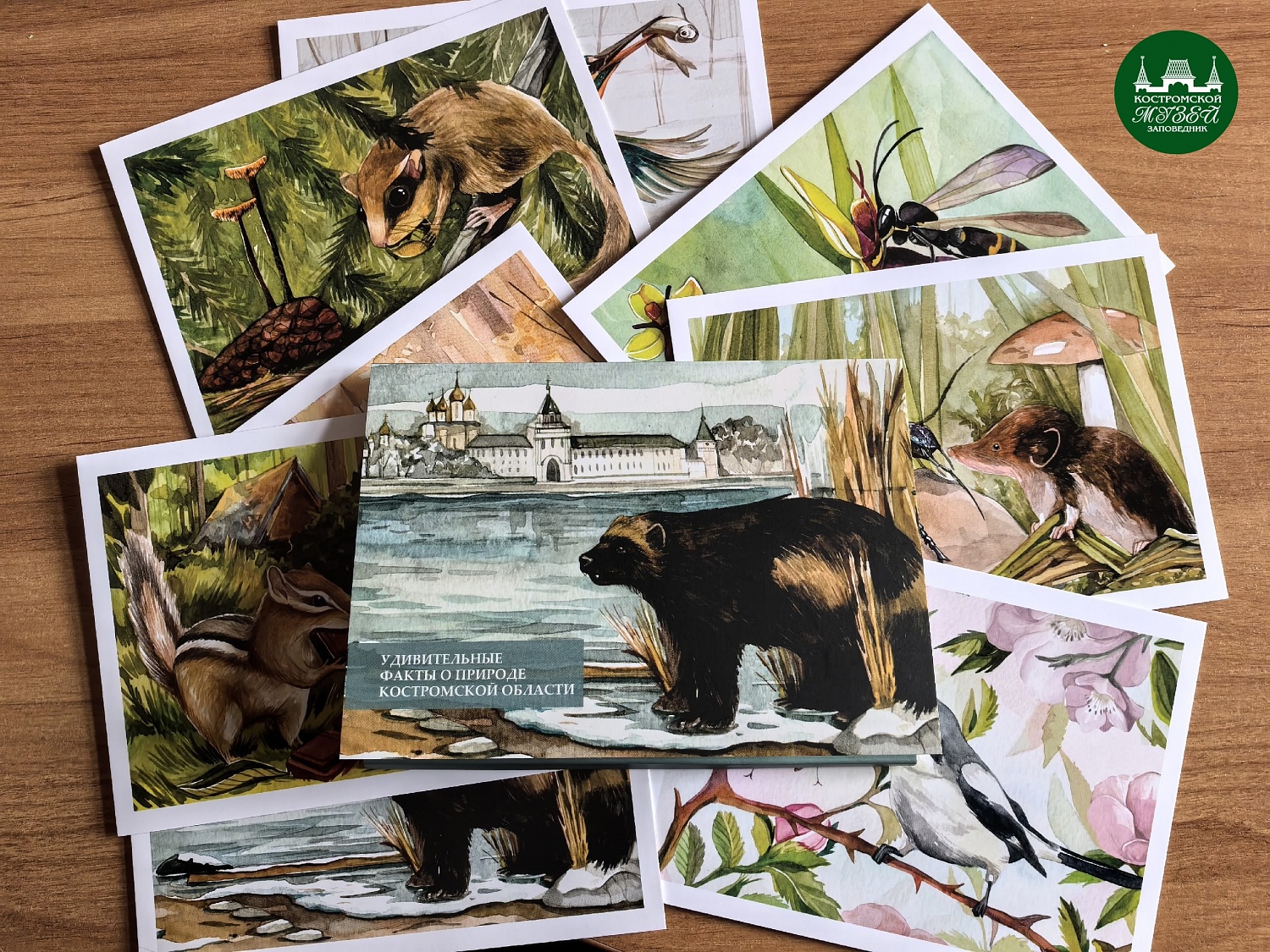 Выставки и события