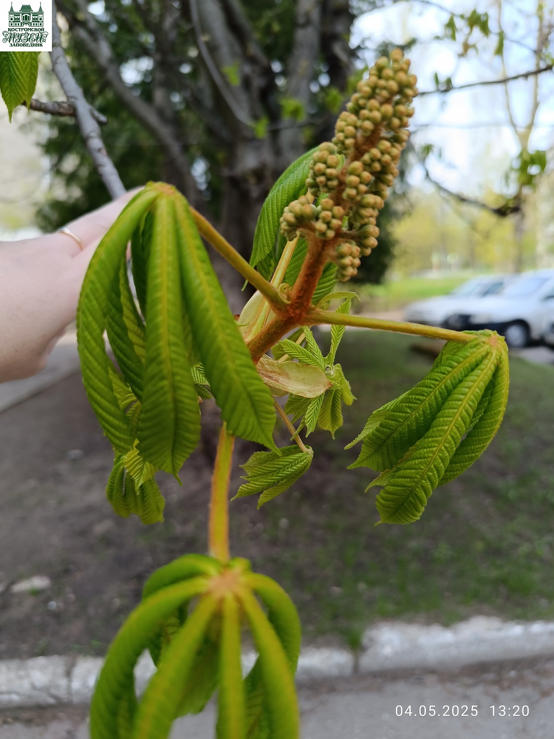 Выставки и события