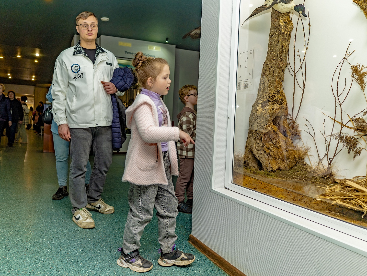 Выставки и события