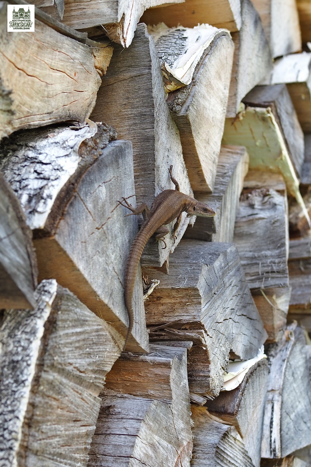 Выставки и события