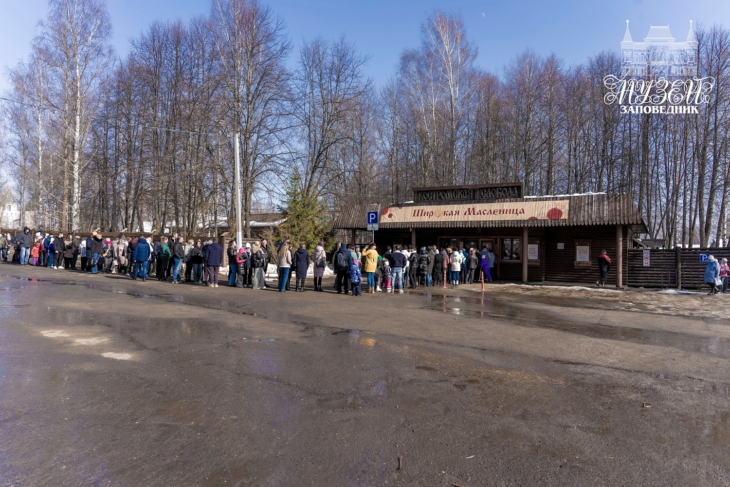 Выставки и события