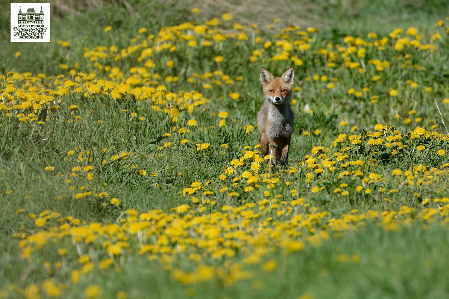 Выставки и события