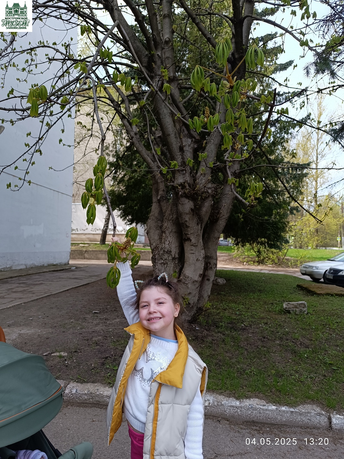 Выставки и события