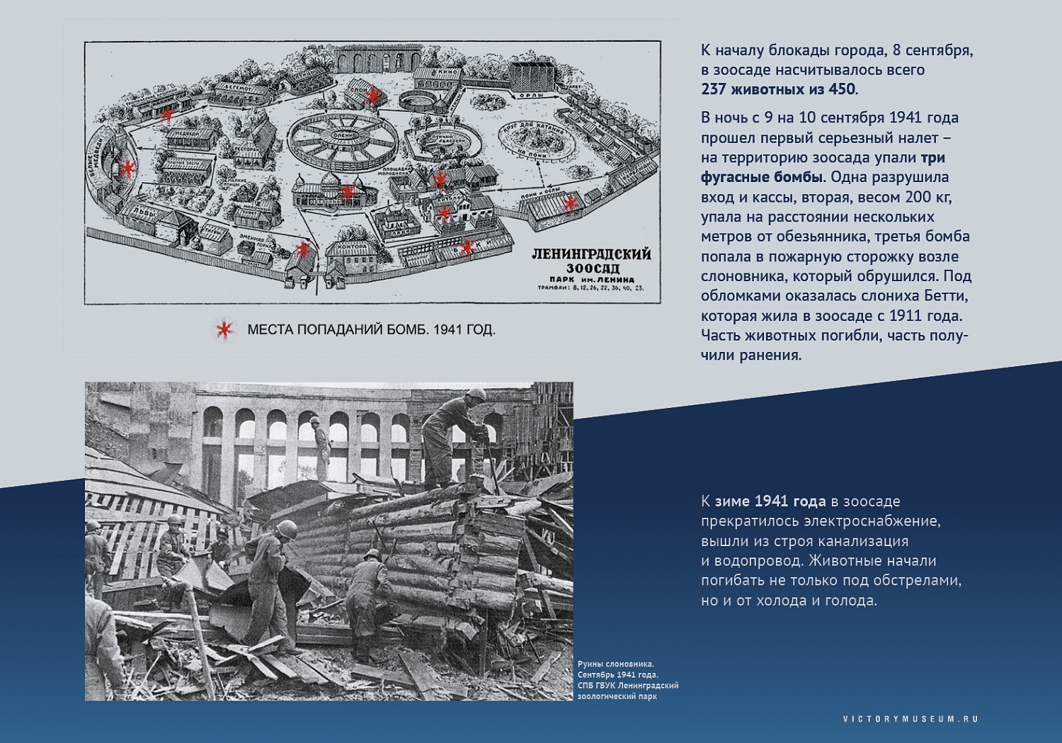 Выставки и события