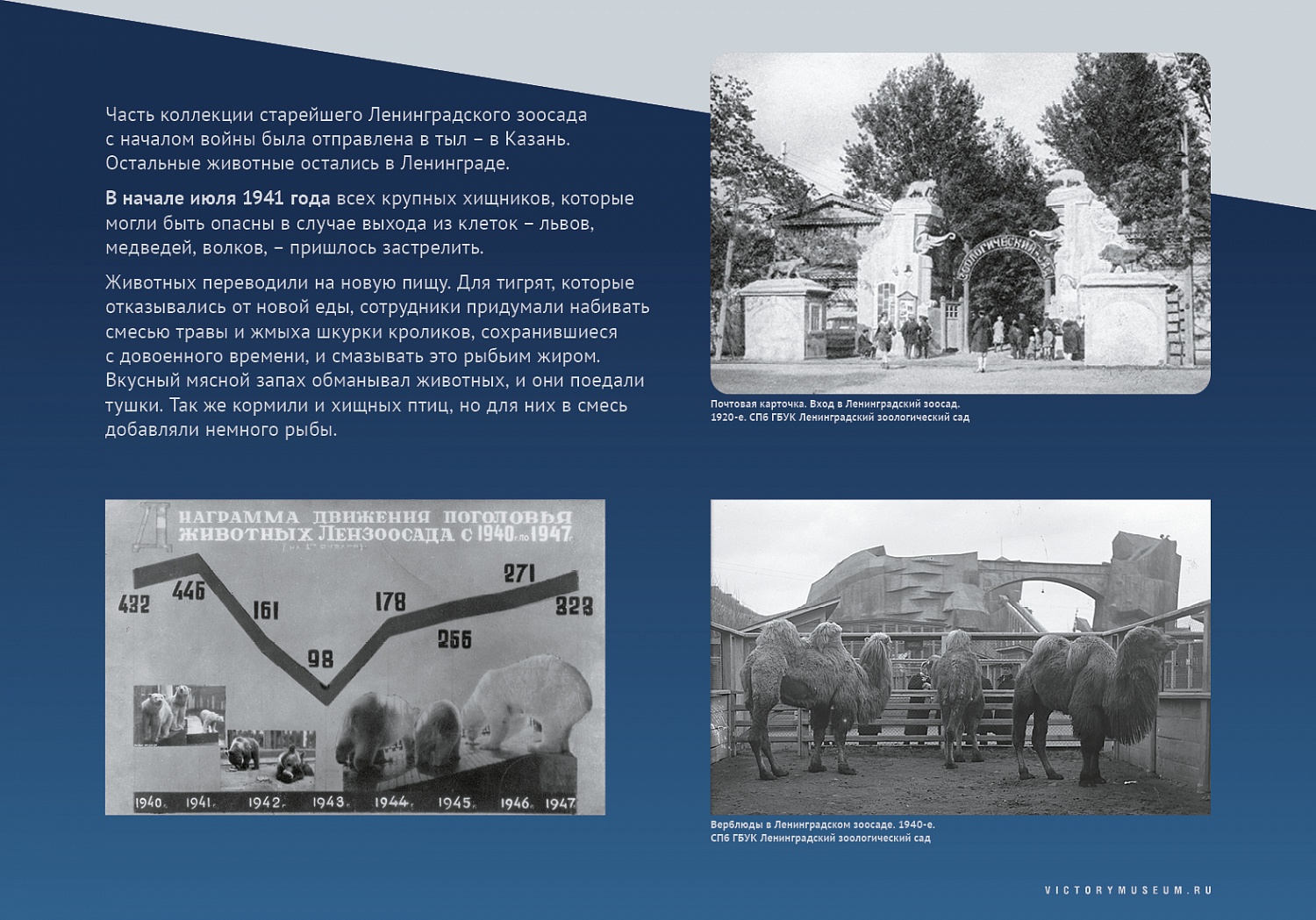 Выставки и события