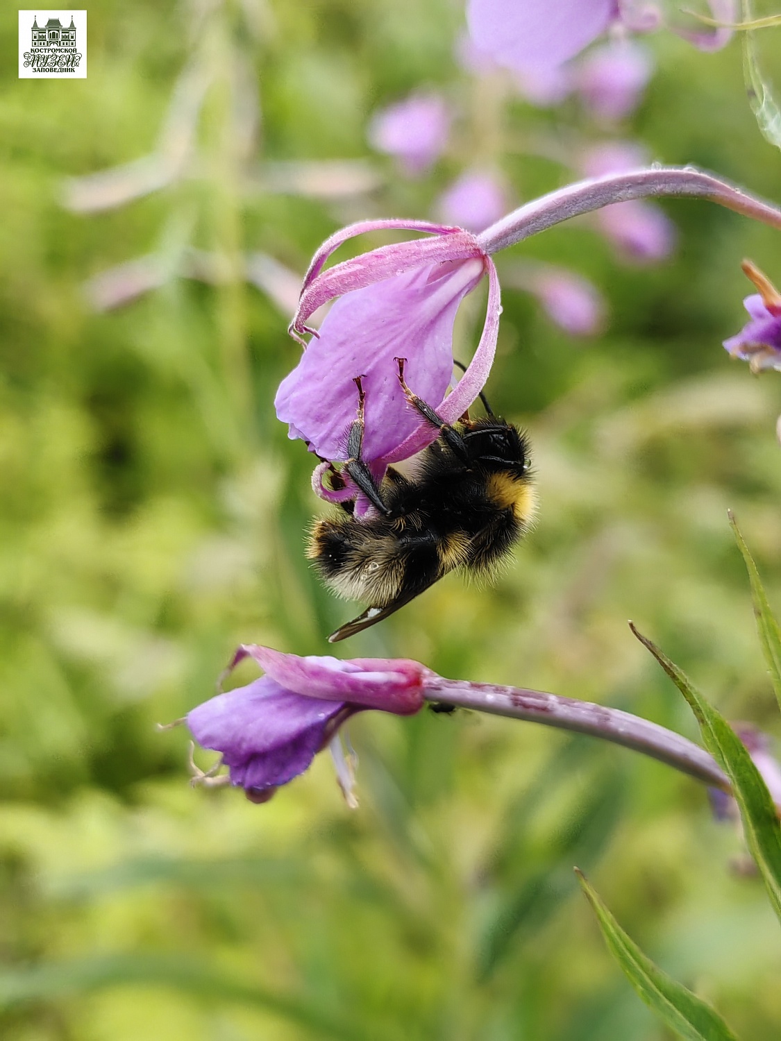 Выставки и события