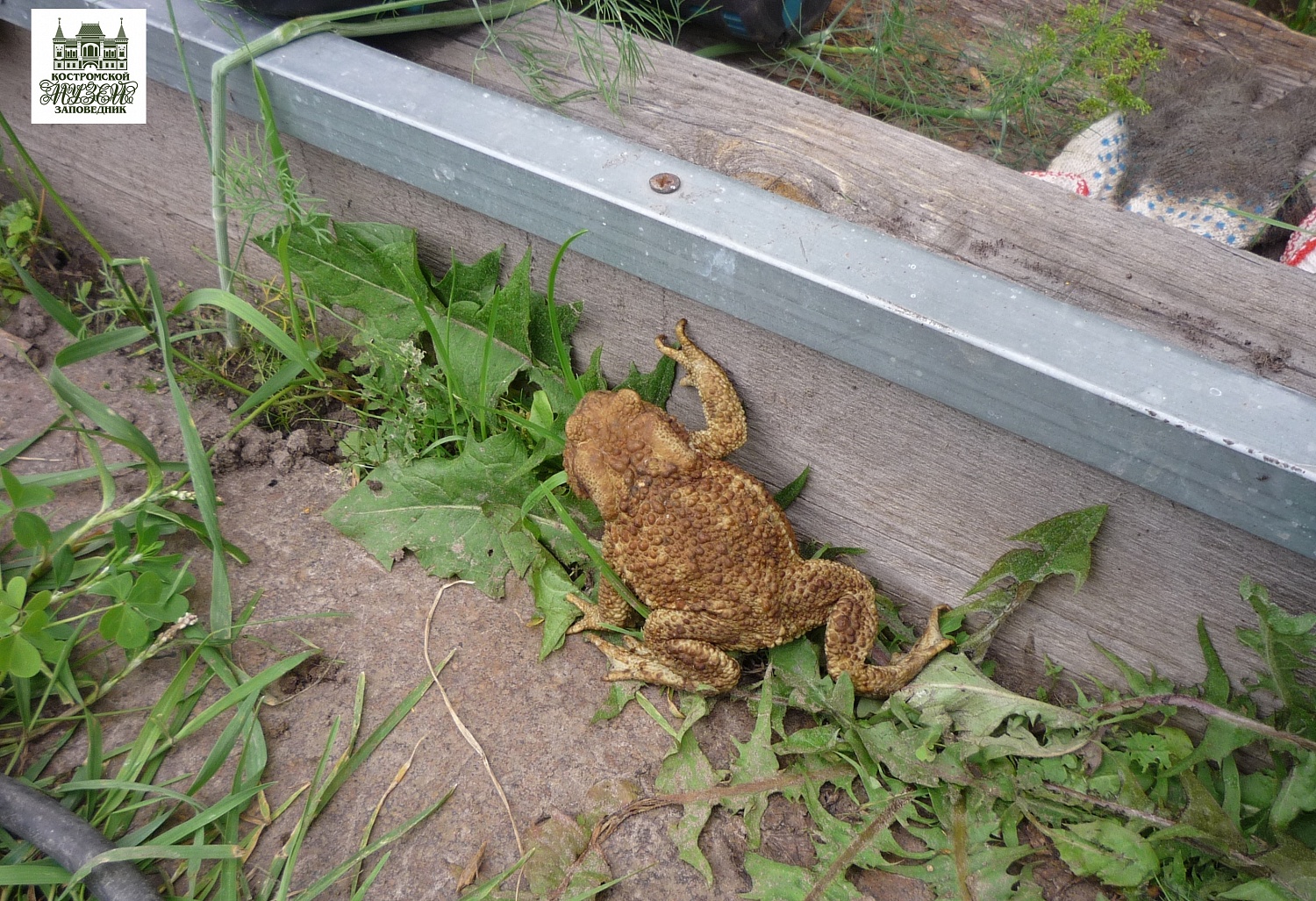 Выставки и события