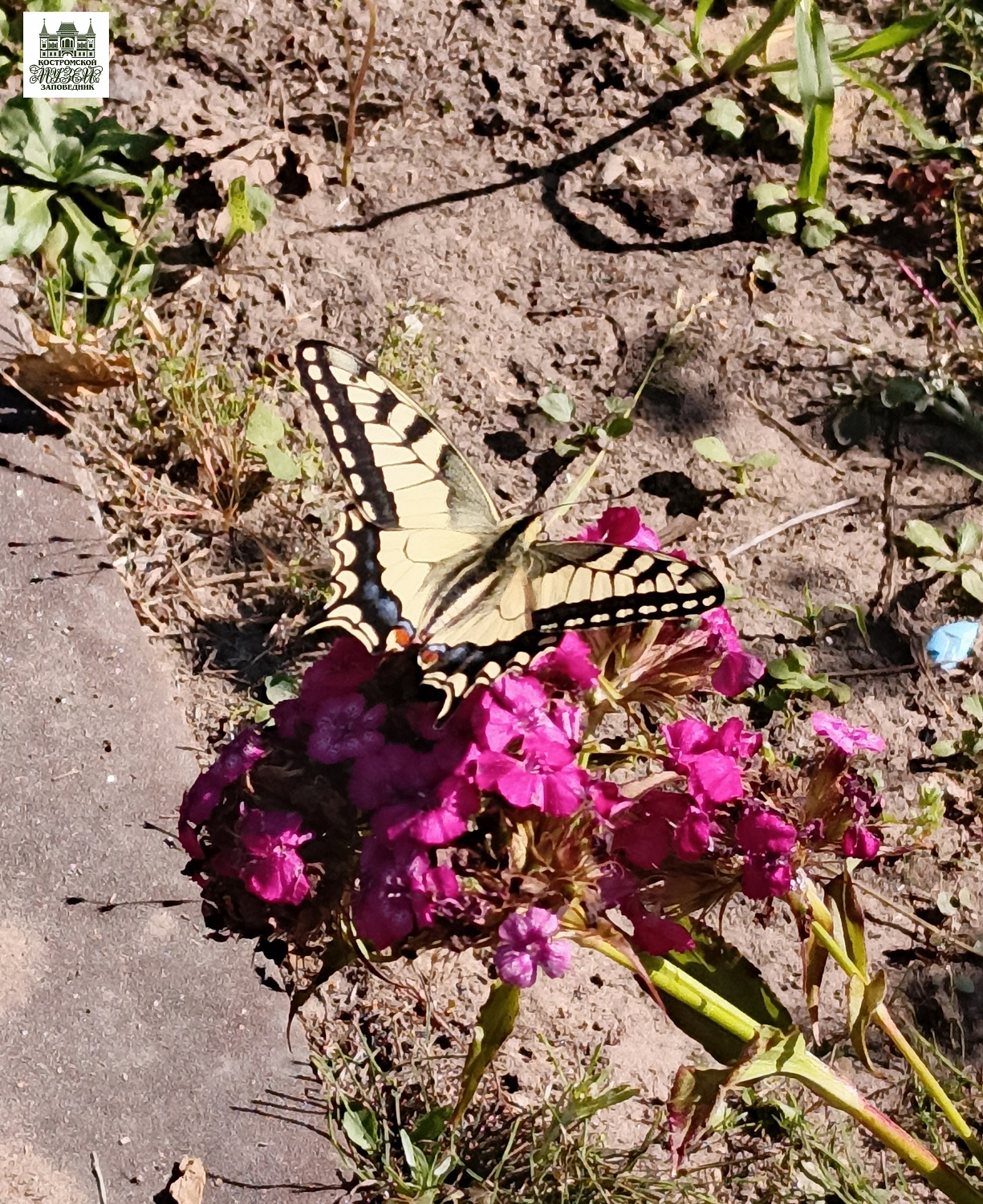 Выставки и события