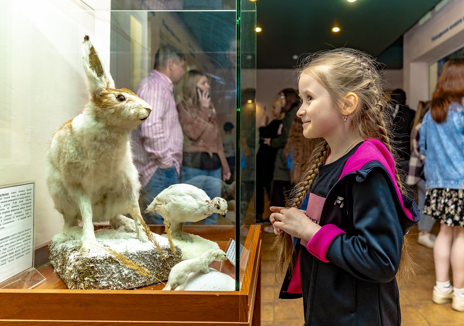 Выставки и события