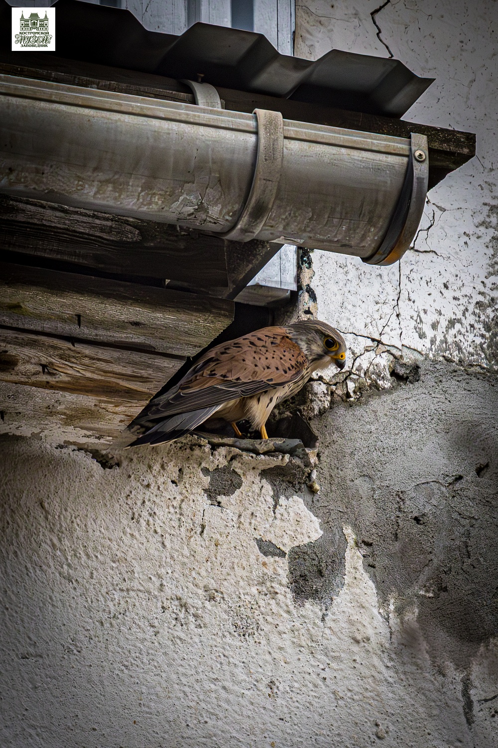 Выставки и события