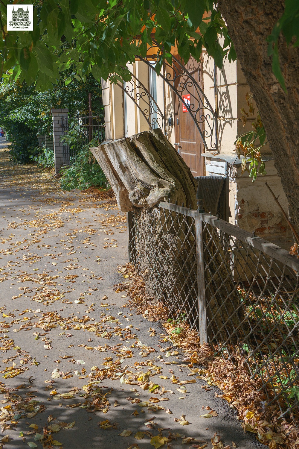 Выставки и события