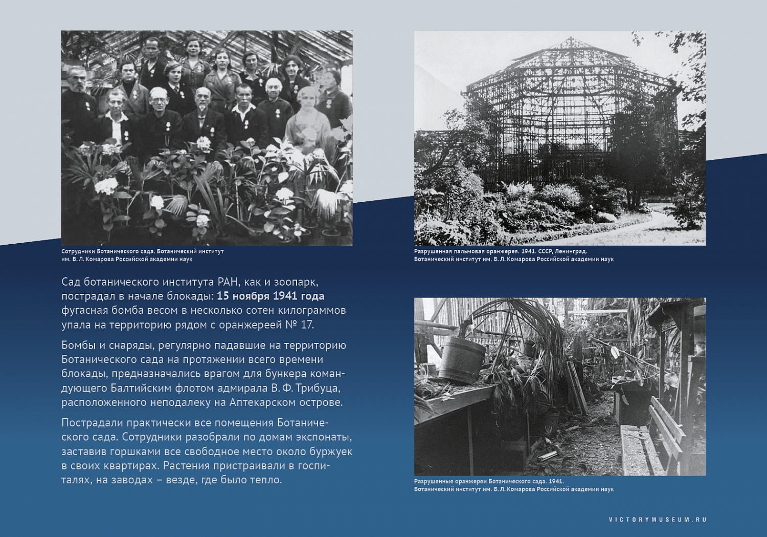 Выставки и события