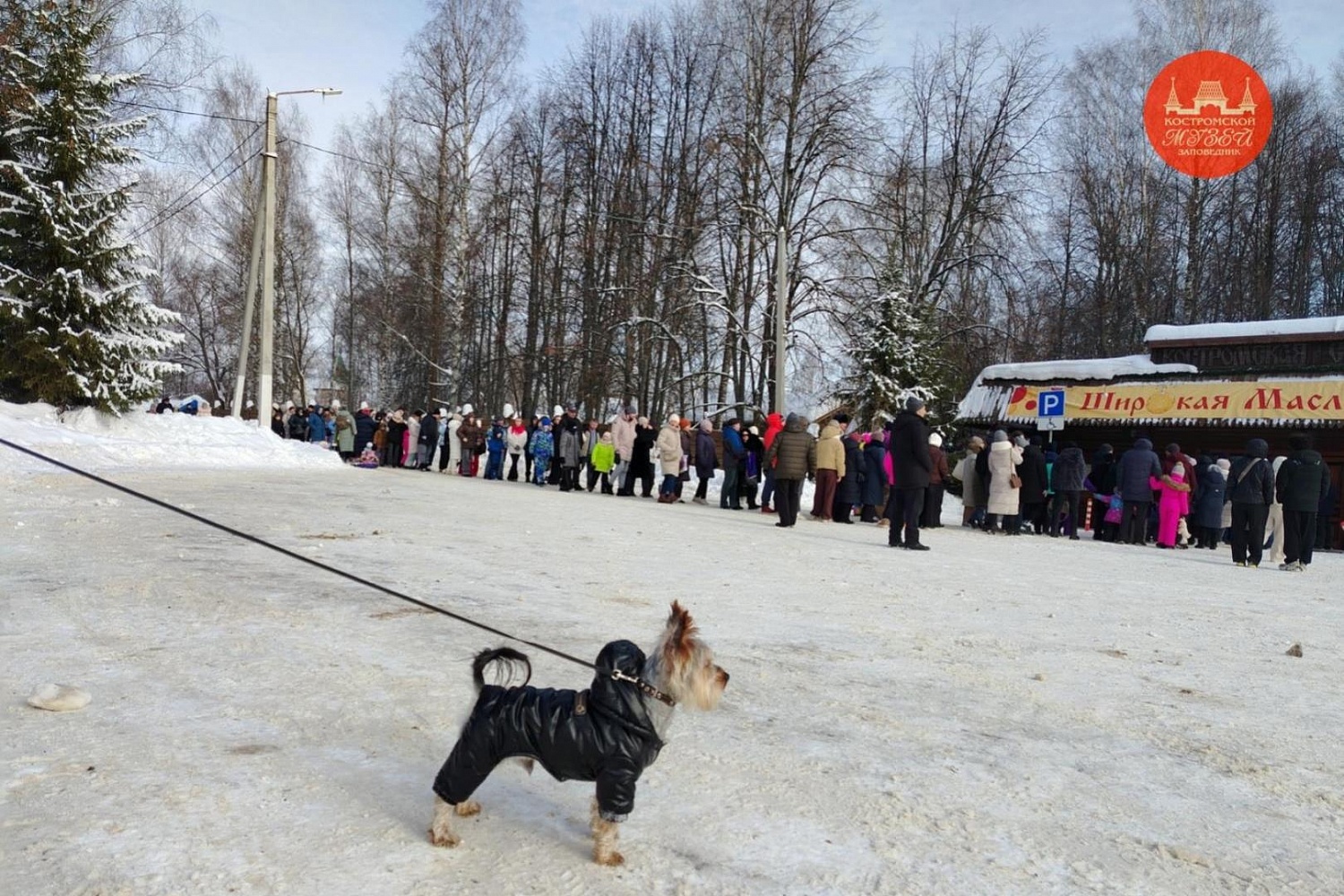 Выставки и события