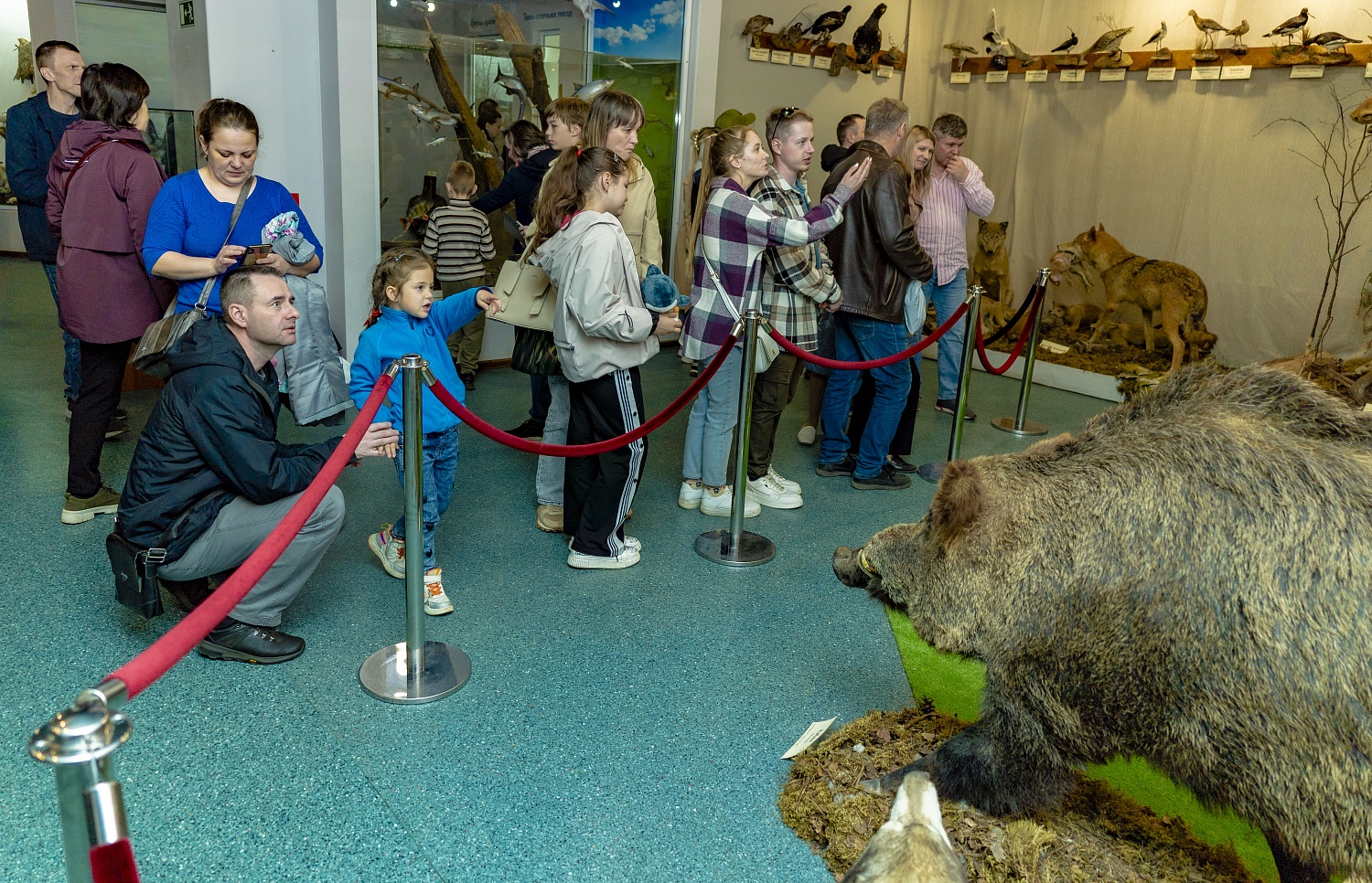 Выставки и события