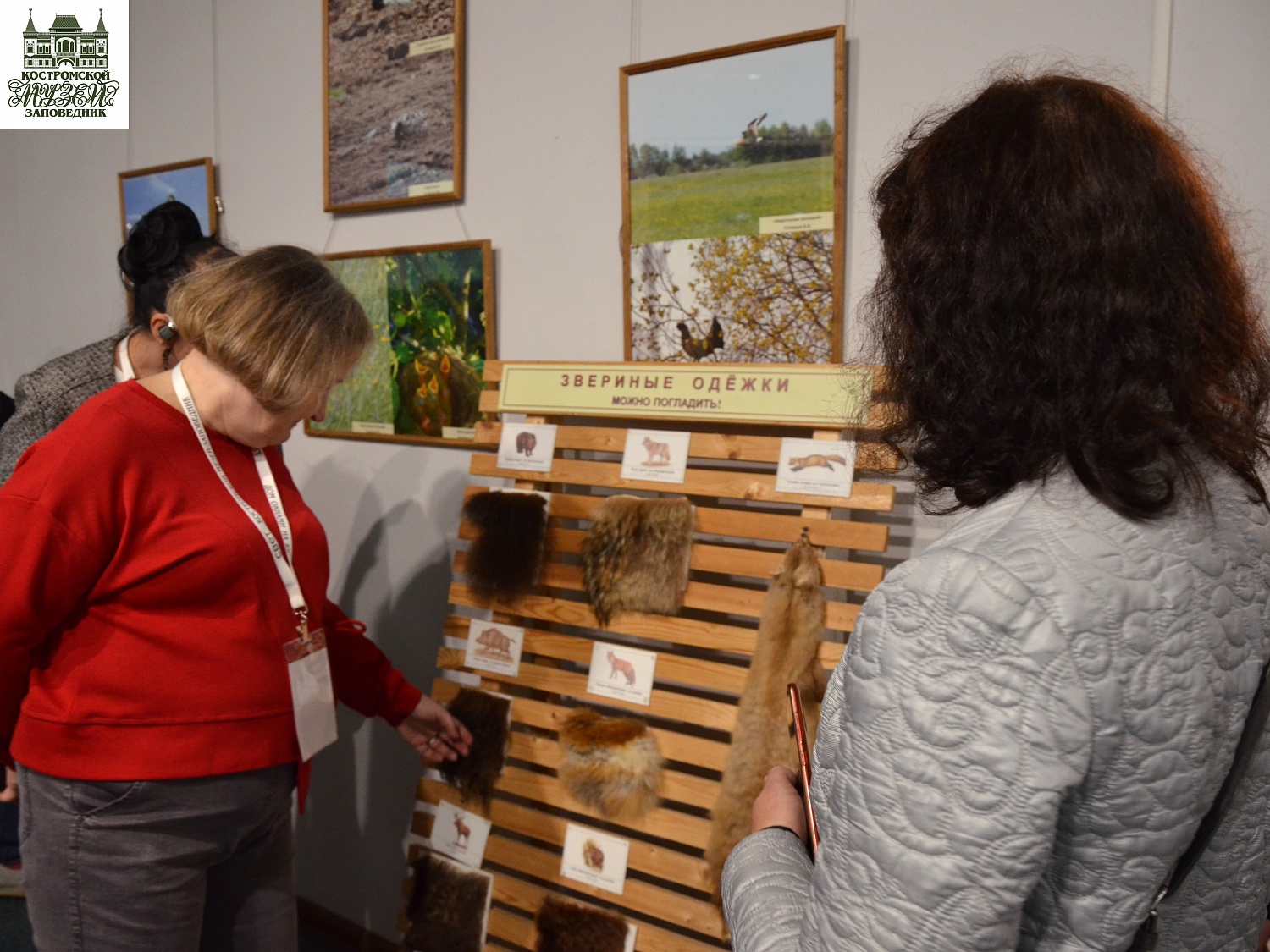 Выставки и события