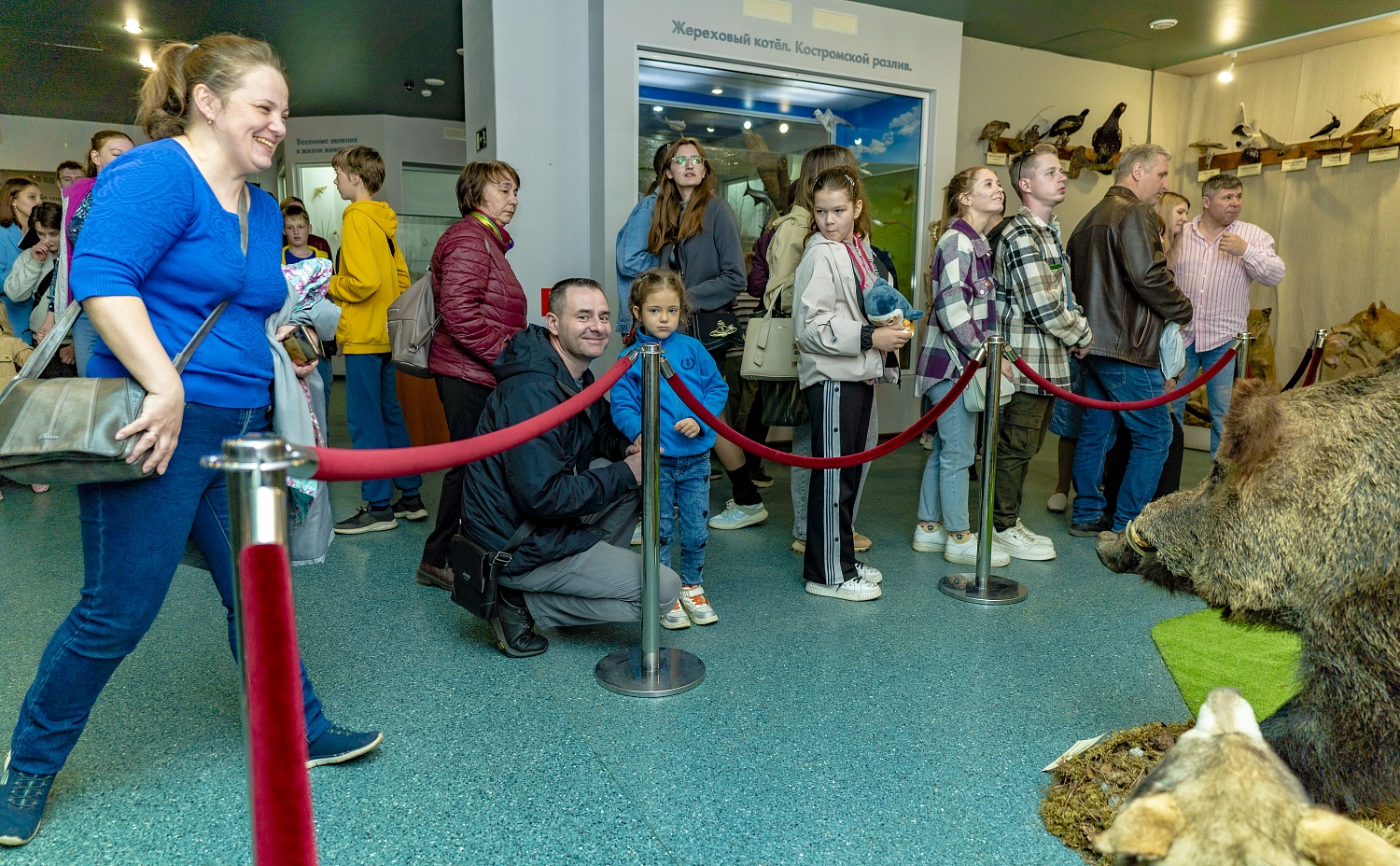 Выставки и события