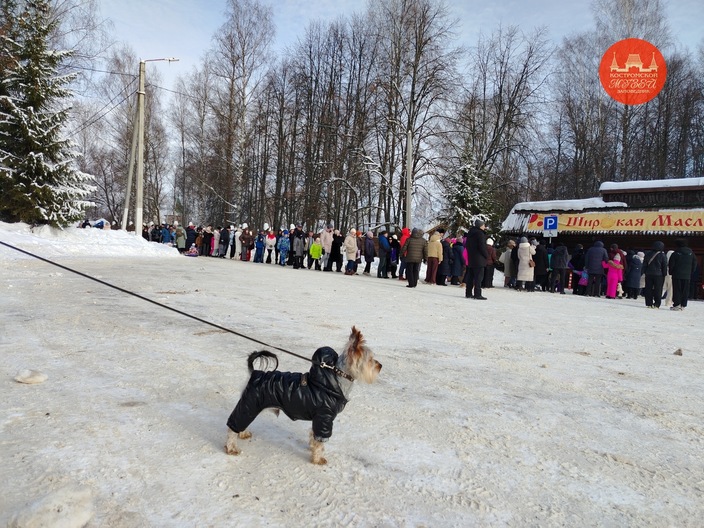 Выставки и события