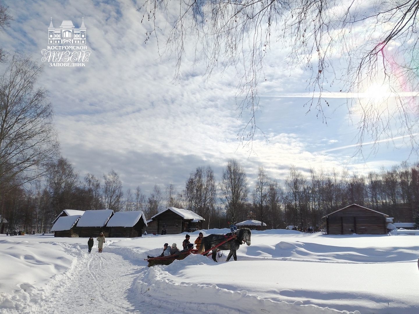 Выставки и события