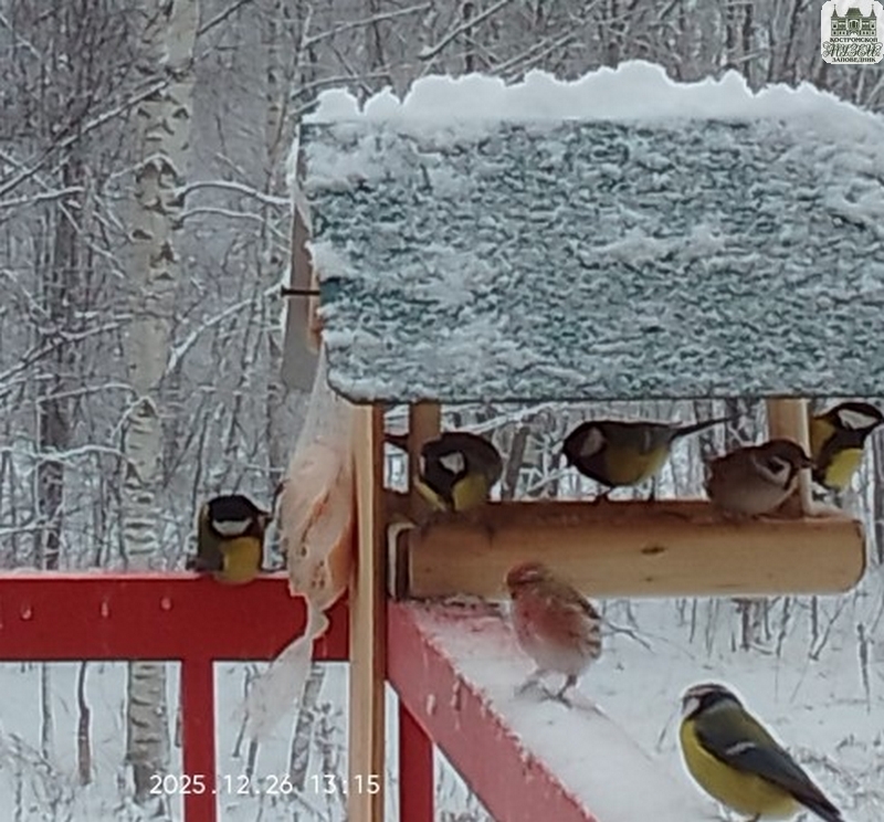 Выставки и события