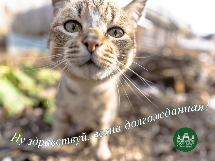 Весна пришла!