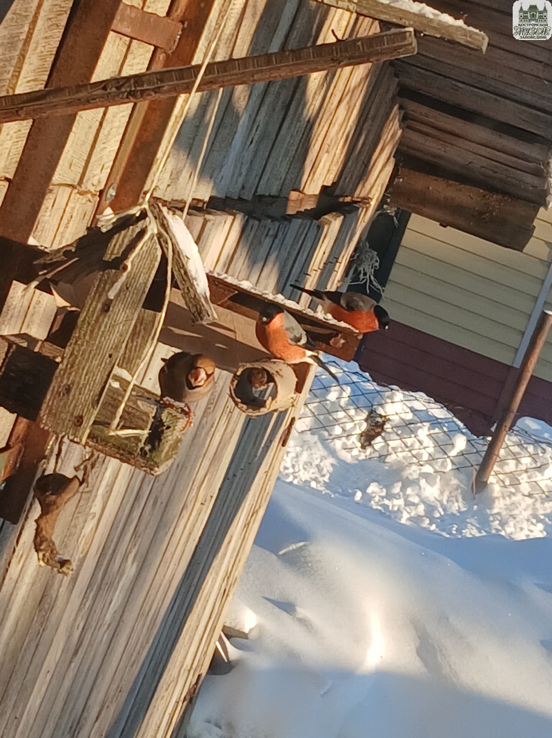 Выставки и события