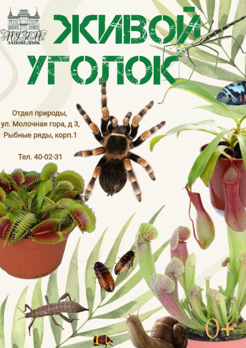 В «Живом уголке» 29 января 2026 года пройдёт санитарный день В «Живом уголке» 29 января 2026 года пройдёт санитарный день