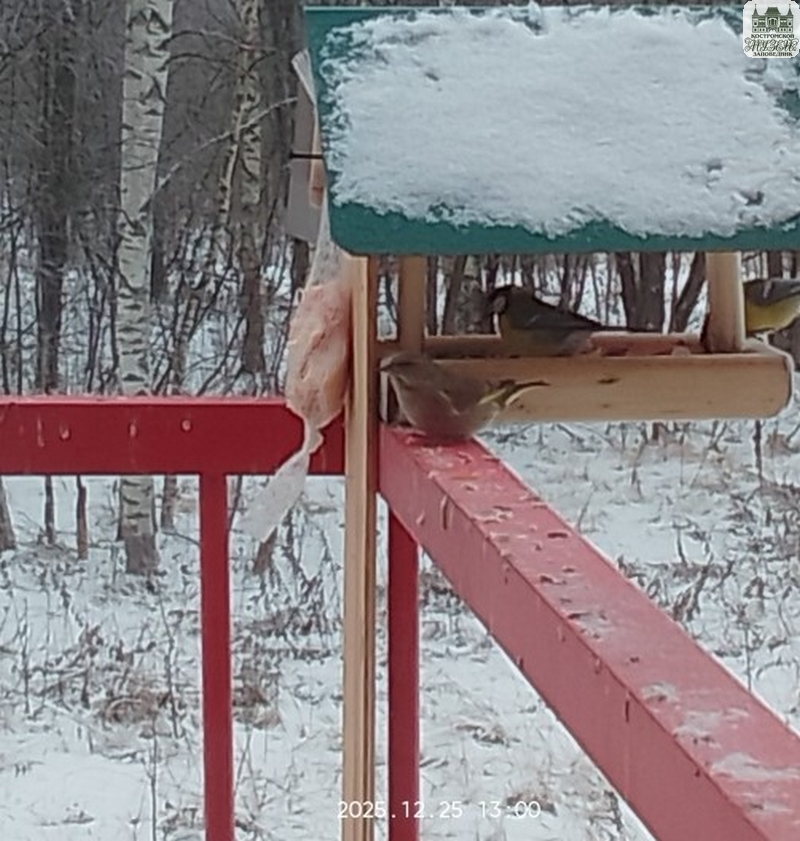 Выставки и события