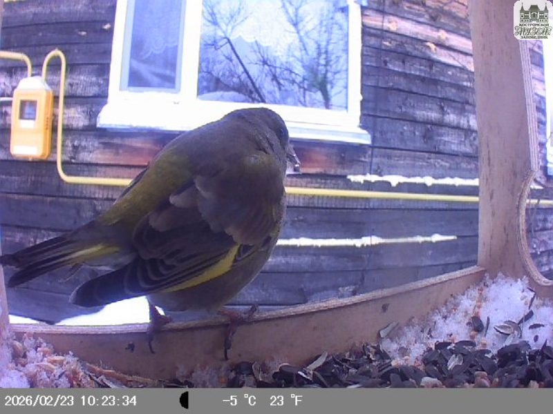 Выставки и события