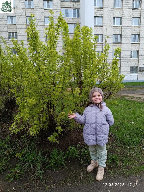 Итоги II областного конкурса «Зелёный наряд Отчизны» Итоги II областного конкурса «Зелёный наряд Отчизны»