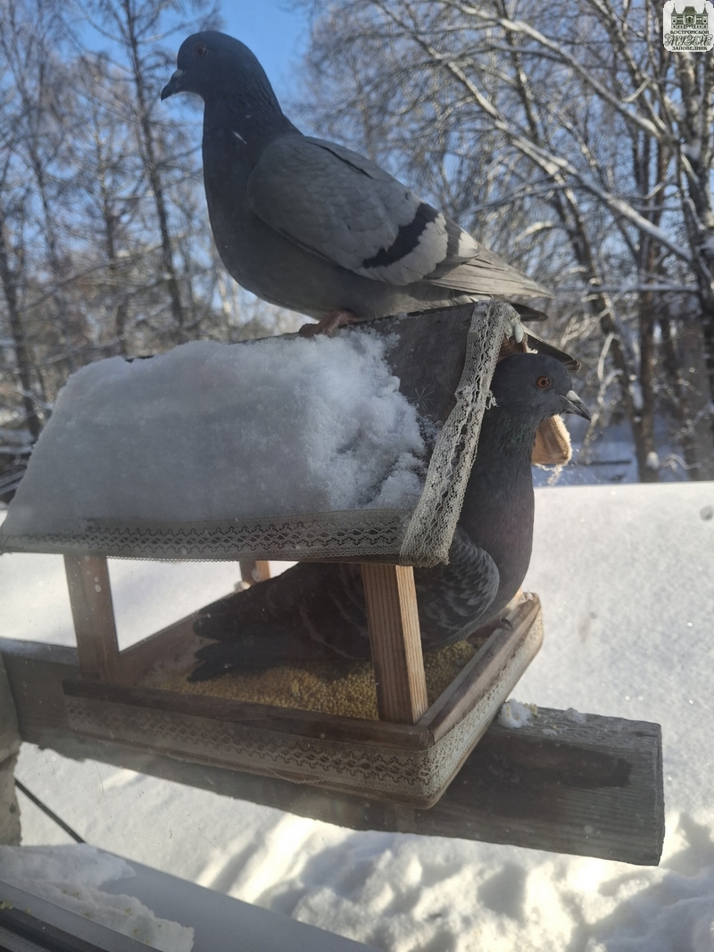 Выставки и события