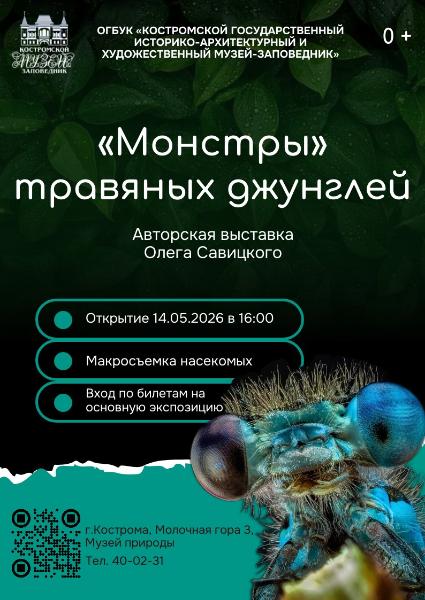 « „Монстры“ травяных джунглей» покажут себя во всей красе « „Монстры“ травяных джунглей» покажут себя во всей красе