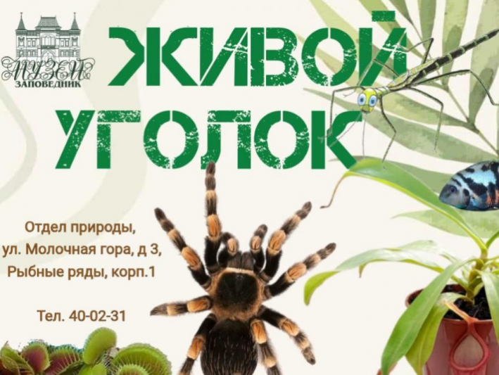 В «Живом уголке» 29 января 2026 года пройдёт санитарный день