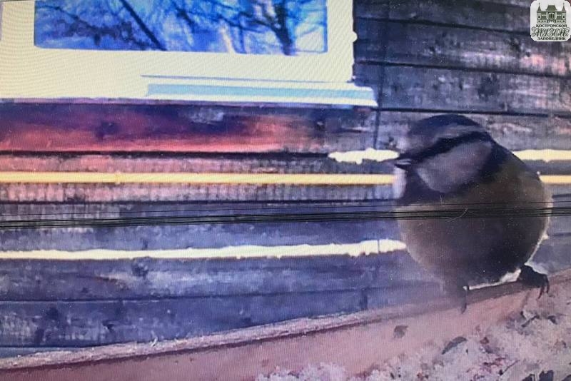 Выставки и события