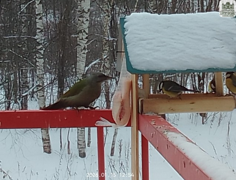 Выставки и события