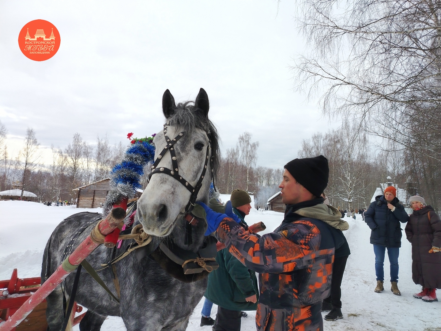 Выставки и события