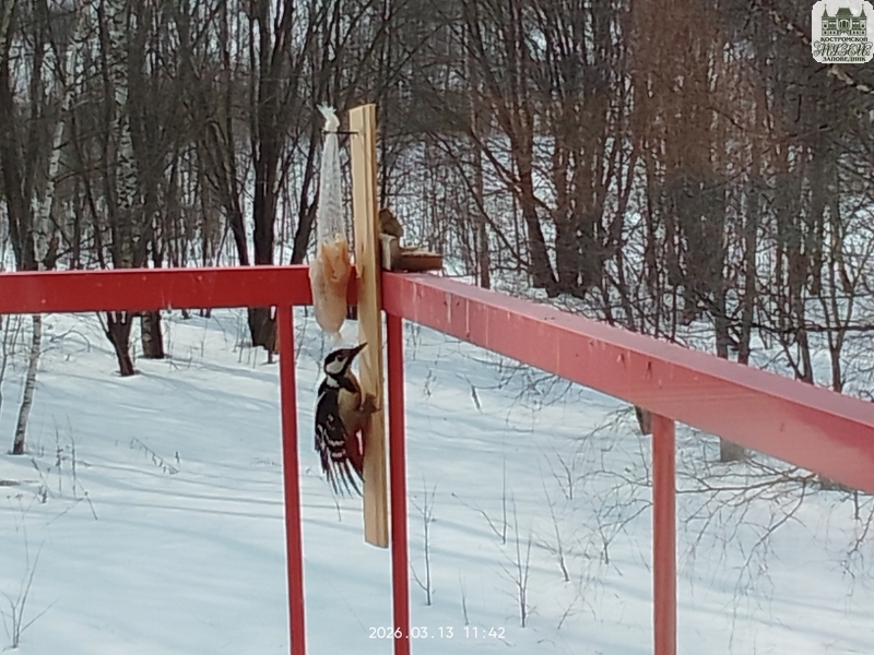 Выставки и события