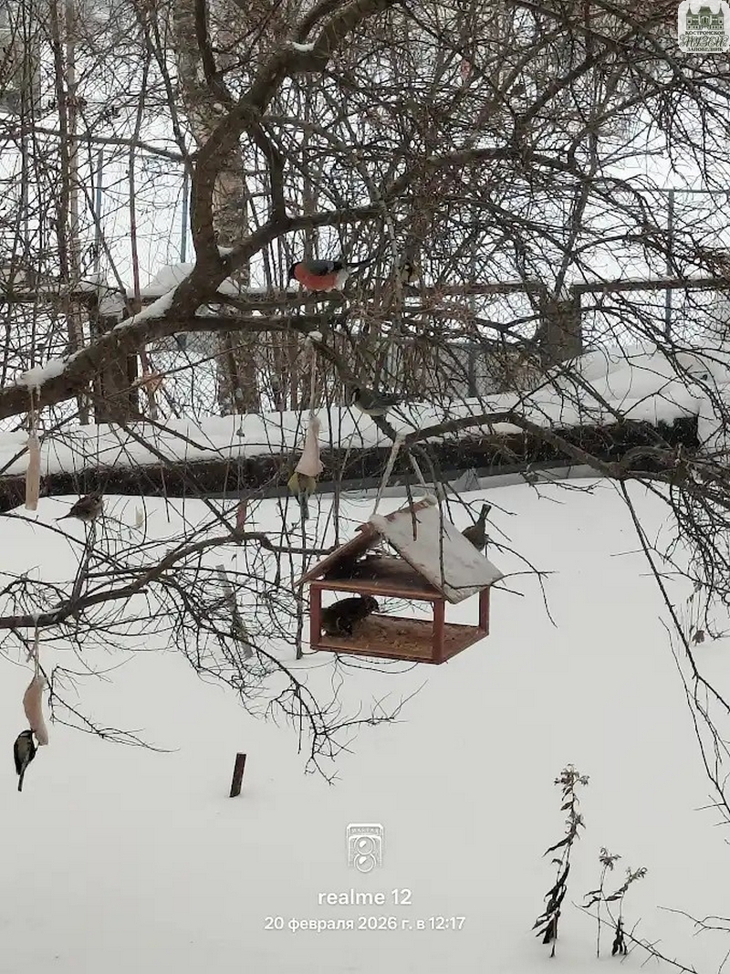 Выставки и события