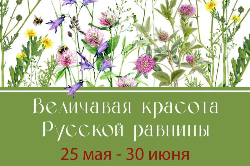 Величавая красота Русской равнины
